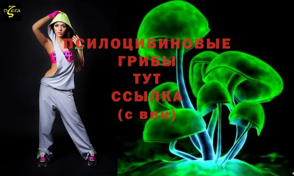 дмт Баксан