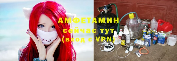 шишки Балабаново