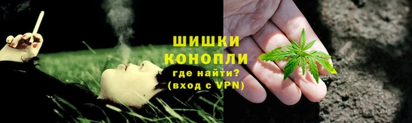 шишки Балабаново