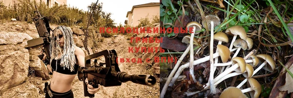 шишки Балабаново