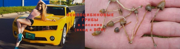 дмт Баксан