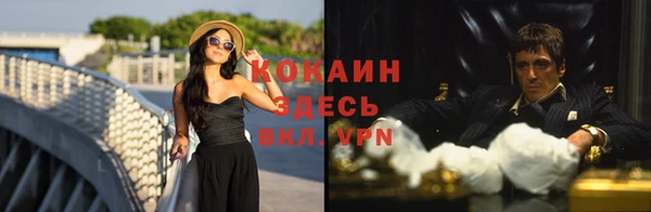 шишки Балабаново
