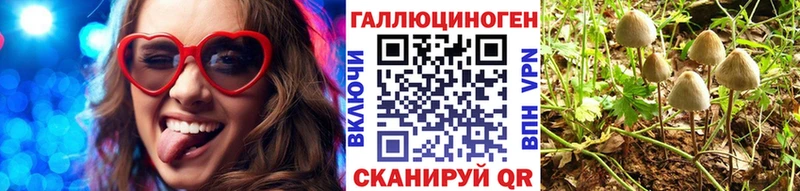 Галлюциногенные грибы Cubensis  Суворов 